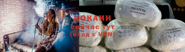 шишки Балахна
