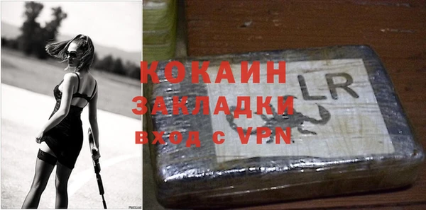 шишки Балахна