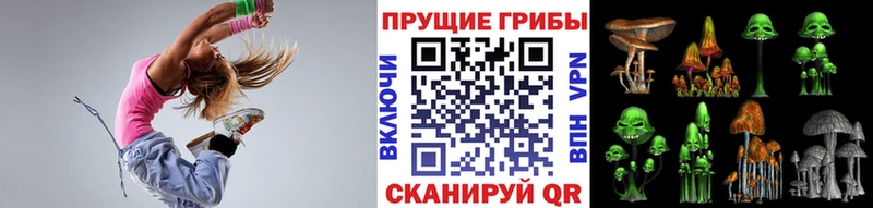 Псилоцибиновые грибы Cubensis  Белокуриха 